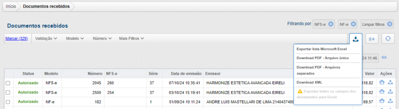 Tela com as opções de exportação dos documentos recebidos.